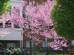 april2609 (1)